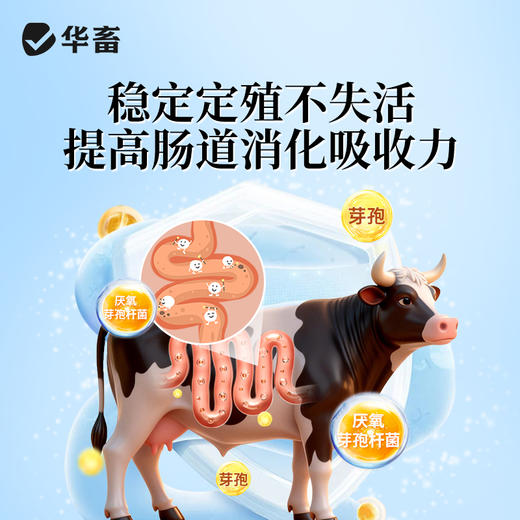 华畜酵皇1kg提高免疫力提高肠道消化 商品图4