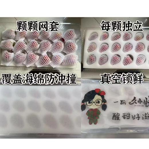 【顺丰空运】丹东红颜99号草莓 丹东产地基地现摘现发  甄选品质 每颗都是优中选优 饱满多汁 - BYKSG 商品图7