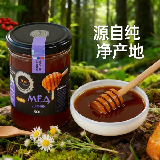 普乔金哚玛蜂蜜（玻璃瓶黑标）500g 商品图2