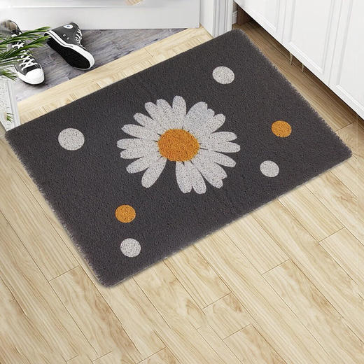 家用加厚新款入户门垫地垫室外门垫 猫与鱼 商品图1