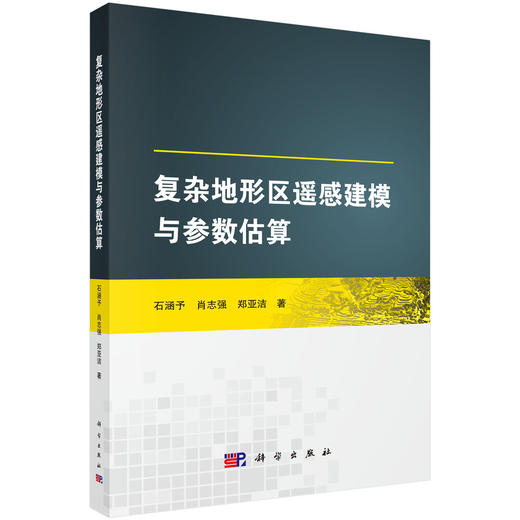 复杂地形区遥感建模与参数估算 商品图0