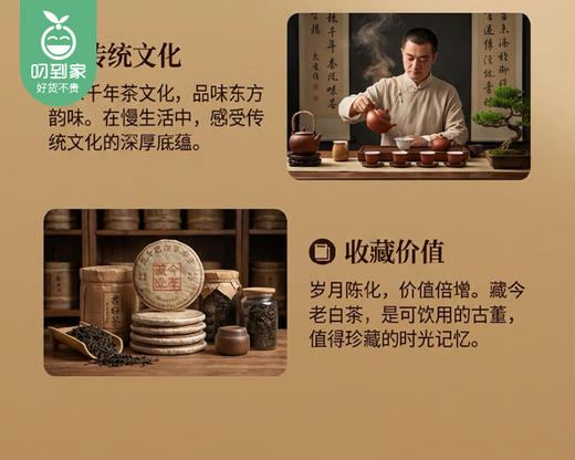 【预售-4月8日配送】藏兮福鼎老白茶【一桶天下-老茶铺】（2019年寿眉，密封大铁罐散茶-配礼袋）/1罐（500g）生产日期：25年12月 商品图4
