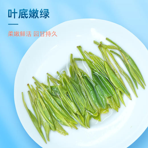 【2026年新茶预售】茶马世家 双喜临门 恩施玉露 绿茶 一级描金双瓷罐礼盒装250g（125g*2罐），新茶预计4月15日发货 商品图5