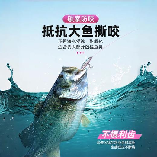 江左|猫影酷客粉碳前导线路亚子线日本进口碳线超强耐磨 商品图5