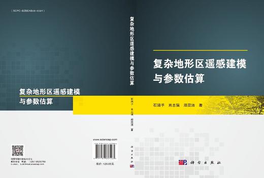 复杂地形区遥感建模与参数估算 商品图3