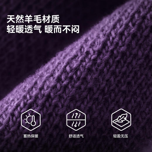 【晴川】伯希和户外针织帽男Polartec防风冷帽登山滑雪羊毛帽子女 商品图3