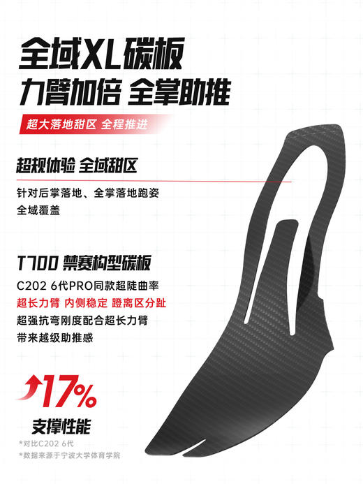 安踏儿童C202 7代专业碳版跑鞋男女童2026新款竞速体测新年跑步鞋312615507R 商品图1