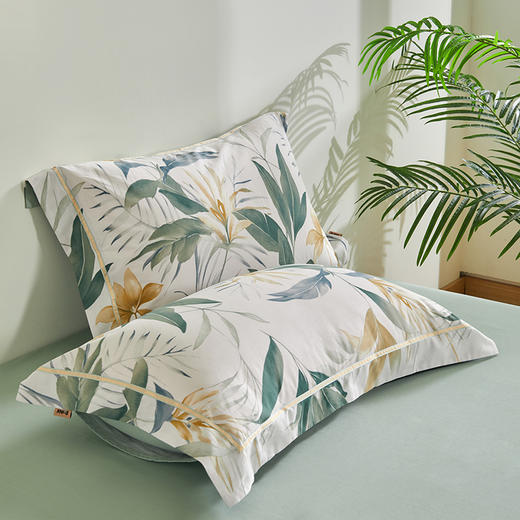 多喜爱 全棉斜纹印花套件 森氧絮语/花绵【新疆棉】【精美织带】【芬纳诺抗菌】【宽边枕袋】【金色礼盒包装】柔软亲肤 吸湿透气 耐洗耐磨 不易褪色 商品图9