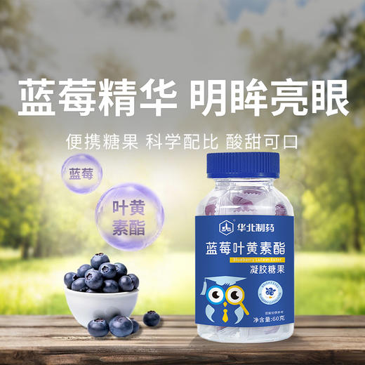 【蓝莓叶黄素软糖】精选原料 专业配方 口味酸甜 商品图0