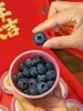【会员21.5/盒】云南抚仙湖花香蓝莓杯 果径18mm+ 100g/杯 商品缩略图12
