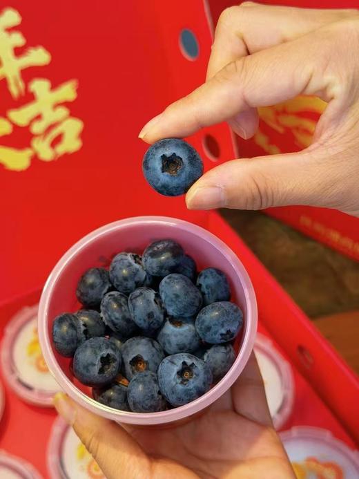 【会员21.5/盒】云南抚仙湖花香蓝莓杯 果径18mm+ 100g/杯 商品图12