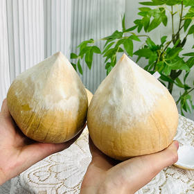 泰国椰皇 奶香清甜轻松开启