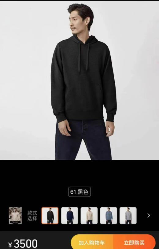 F011360新款纯棉针织复合奥立绒休闲加厚连帽卫衣 商品图7