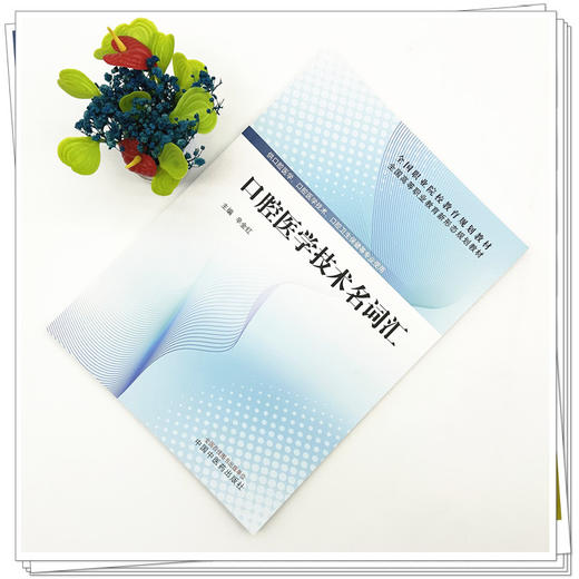 口腔医学技术名词汇 辛金红 主编 全国高等职业教育新形态规划教材 中国中医药出版社 商品图1