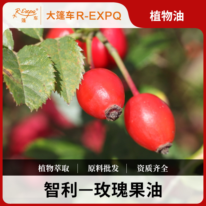 玫瑰果油 智利原料批发 SPA按摩基础油身体按摩油大篷车精油