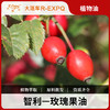 玫瑰果油 智利原料批发 SPA按摩基础油身体按摩油大篷车精油 商品缩略图0