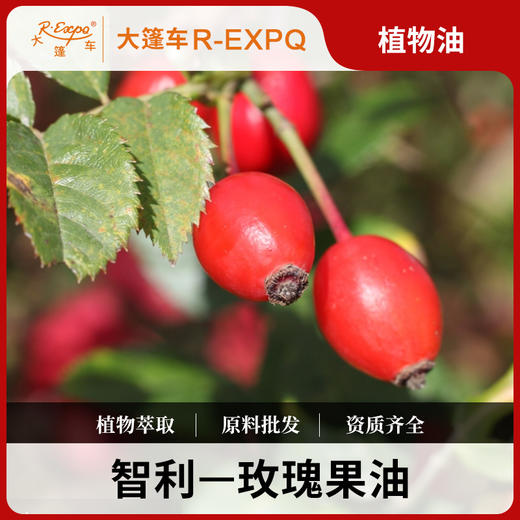 玫瑰果油 智利原料批发 SPA按摩基础油身体按摩油大篷车精油 商品图0