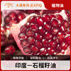 石榴籽油 Pomegranate Seed 印度原料批发 身体油按摩基底基础油 商品缩略图0