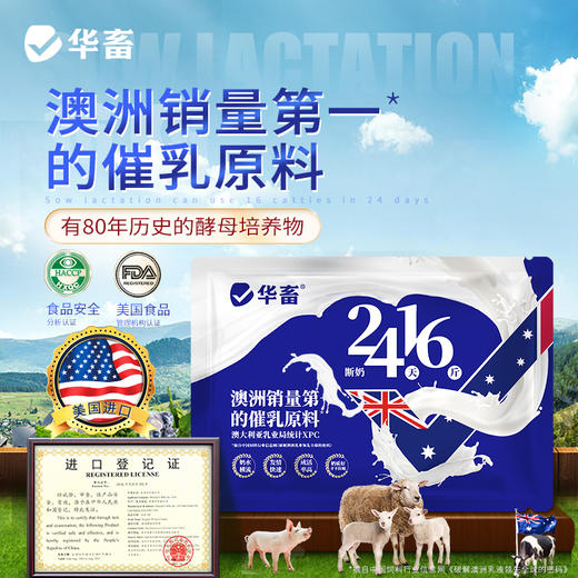 华畜24天16斤 澳洲第一催乳原料 奶水横流发情快 催乳奶粉母猪母牛羊均可使用 商品图0
