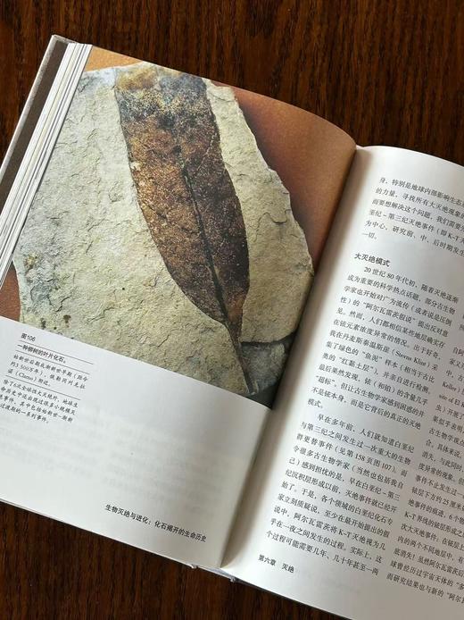 生物灭绝与进化：化石揭开的生命历史 商品图3