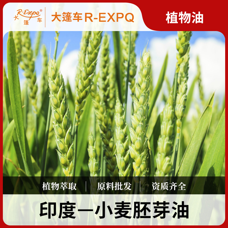 小麦胚芽油 Wheat Germ 印度进口原料批发按摩基底植物油基础油