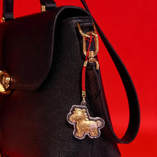 【百图lulu好物】【预售7天发】【马上有钱金马福袋】 商品图6