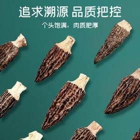 富昌 羊肚菌55g 云南特产头茬短柄  山珍菌菇干货 鸡汤煲汤火锅食材