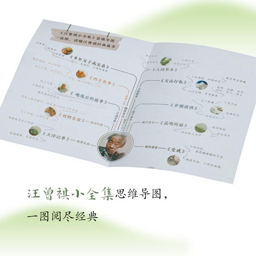 《汪曾祺小全集》（全10册）| 收录汪曾祺毕生精华篇章 商品图3