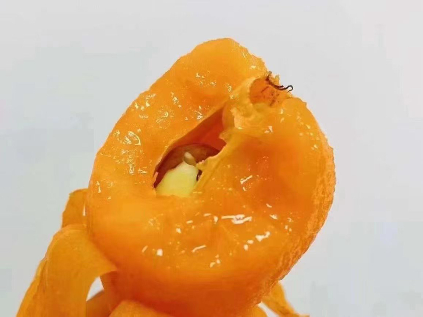 云南空运枇杷，妥妥的甜蜜蜜，小朋友的最爱