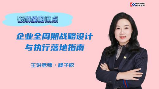 企业全周期战略设计与执行落地指南—视频课程 商品图0