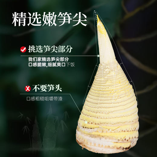 璞匠 有机原味糯米笋嫩笋尖桃江特产笋丝凉拌炒菜火锅鲜脆爽口 商品图1