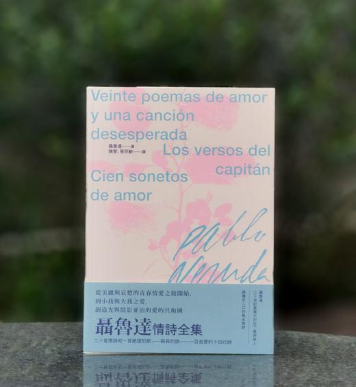 【现货】《聂鲁达情诗全集》，含《二十首情诗和一首绝望的歌》、《船长的诗》、《一百首爱的十四行诗》，译者 陈黎、张芬龄，25开，平装，336页，九歌出版社2025年12月初版。售价99元。 商品图0