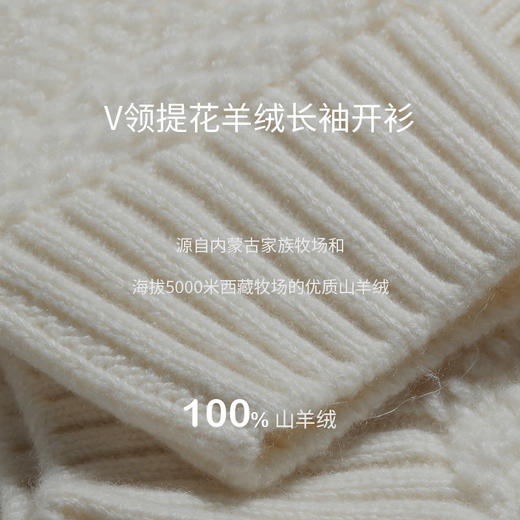 V领提花羊绒长袖开衫  SJF94W172K 商品图2
