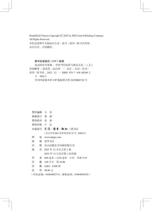 流动的世界想象——中国当代电影与视觉文化 商品图6