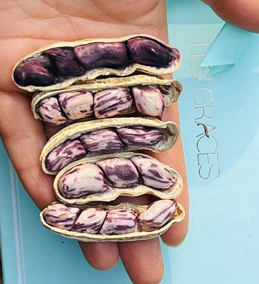 云南优质七彩花生|专业加工花生20多年的省级重点龙头企业，采用龙岩古法湿烤工艺精心制作，香甜细腻，口口酥脆，越嚼越香，好吃到停不下来，聊天，追剧，下酒零食首选~ 商品图1