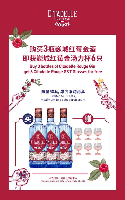 Citadelle Gin  巍城金酒 商品图1
