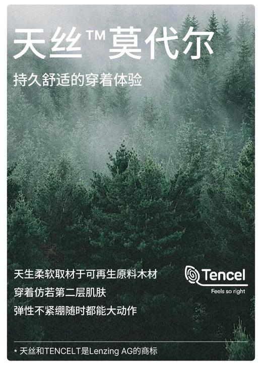 SCHIESSER德国舒雅女士高腰3条装内裤，5A抗菌加长底裆透气平角内裤 60S细腻莫代尔面料 30/27196T 商品图4