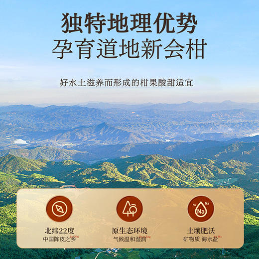 杞里香陈皮50g。买一送一，陈香怡人，足龄陈化 商品图1