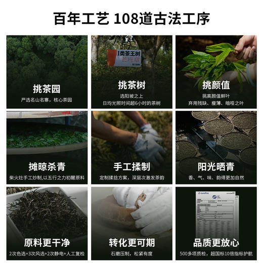 【元昌号】品牌补贴2022年老茶庄易武头春古树100g生饼 商品图2