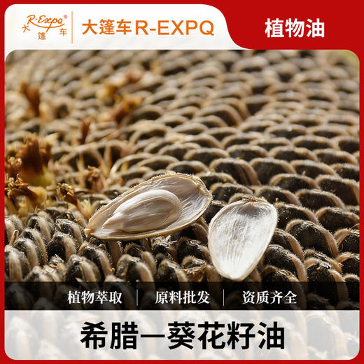 葵花籽油 希腊进口原料批发 身体按摩SPA按摩植物基础按摩油批发 商品图0