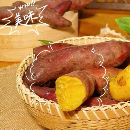 海南富硒【小番薯】沙土种植，新鲜采挖！糯！香！甜！皮薄如纸，粉糯香甜，自然生长！无农药化肥 商品图2