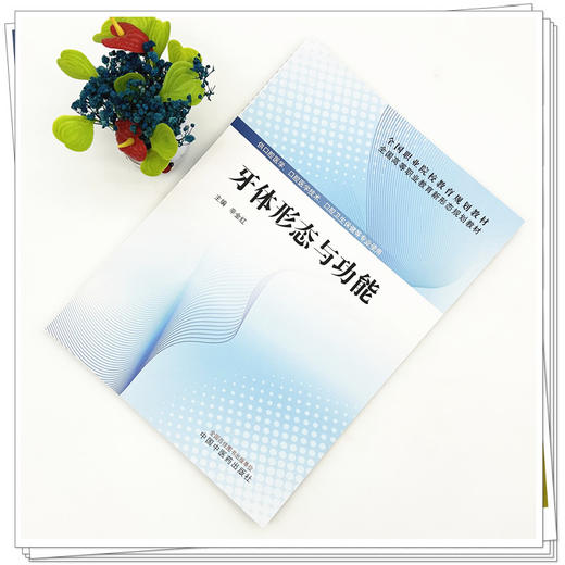 牙体形态与功能 辛金红 主编 全国高等职业教育新形态规划教材 中国中医药出版社 商品图1