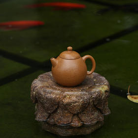 龙德堂陶艺 汤宣武 作品《菊花西子》原矿葵黄朱泥 230cc 库存请咨询客服