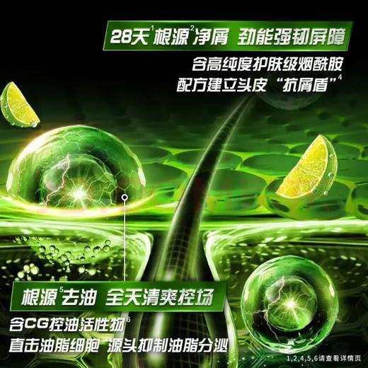 【金皇会员49金币专享】清扬男士去屑洗发水控油蓬松500g清爽去油洗头膏 商品图2