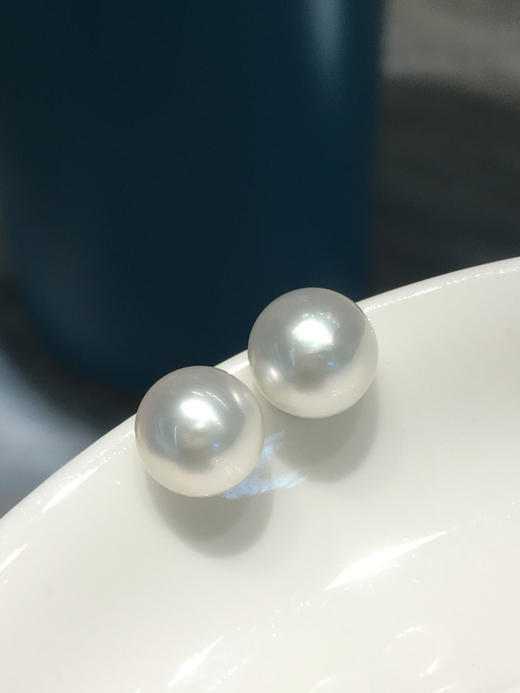 【私席真珠·新年盛宴】澳白小馒头
18k金镶嵌澳白珍珠耳针 10-11mm 正面无暇（2-3天工期） 商品图1