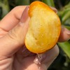 雲端脆蜜•金柑【顺丰/京东发货】 商品缩略图1