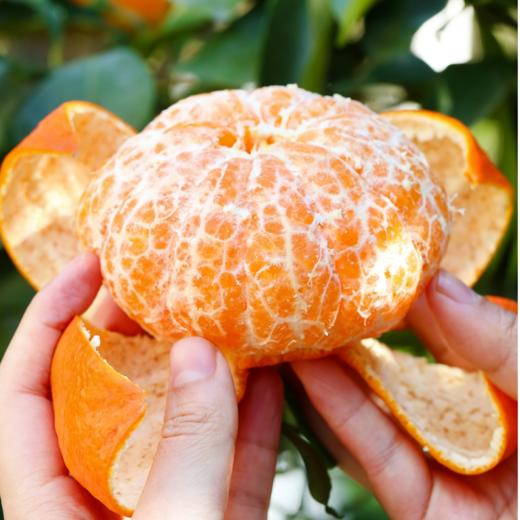 【2026新鲜上市】四川新品甘平柑橘皇后   皮薄多汁 个大香甜 商品图2