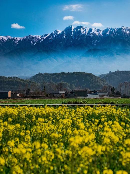 云南界头油菜花、边境瑞丽&芒市“异国”风情、神秘哀牢山“暮光森林”、临沧云海、元阳梯田光影8天摄影团 商品图8