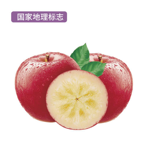 新疆阿克苏红旗坡冰糖心苹果平口箱(毛重5kg箱装 果径80-90mm) 商品图0