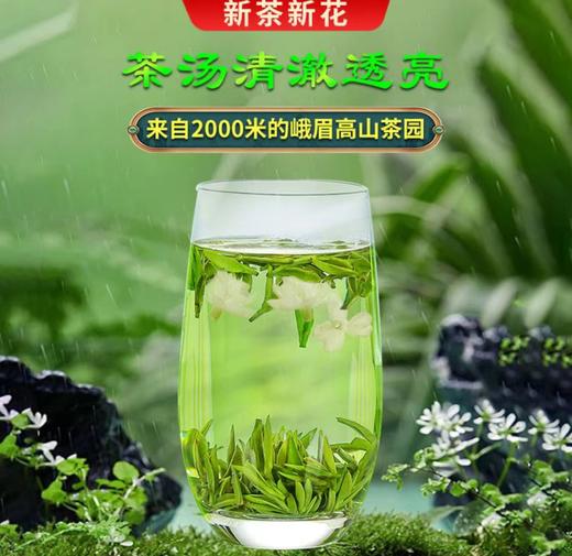 271820峨眉高山早春茉莉花茶Y 商品图1